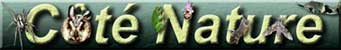 c�t� nature