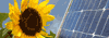generation_environnement