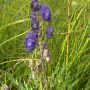 09_dde_8336.jpeg