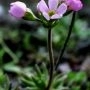 275_23.webp