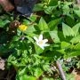 _AAG0475.webp