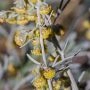 _AAB5578.webp