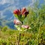 DDI_5522.webp