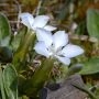 _AAI0244.webp