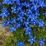 ddf_6282.webp