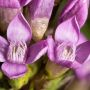 _aaa4339.webp
