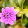 _aac1786.webp