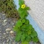 _AAH0952.webp