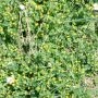 _AAD0852.webp