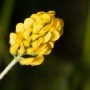 _AAD0859.webp