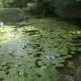 DDI_3778.webp