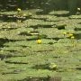DDI_3796.webp