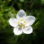 _AAA3979.webp