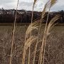 20190209_130837.jpg