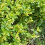 _AAB2248.webp