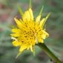 aaa_0424.webp