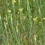 _AAI0337.webp