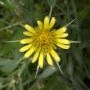 _AAI0340.webp
