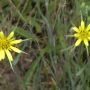_AAI0346.webp