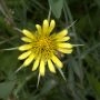 _AAI0351.webp