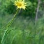 ddg_4928.webp